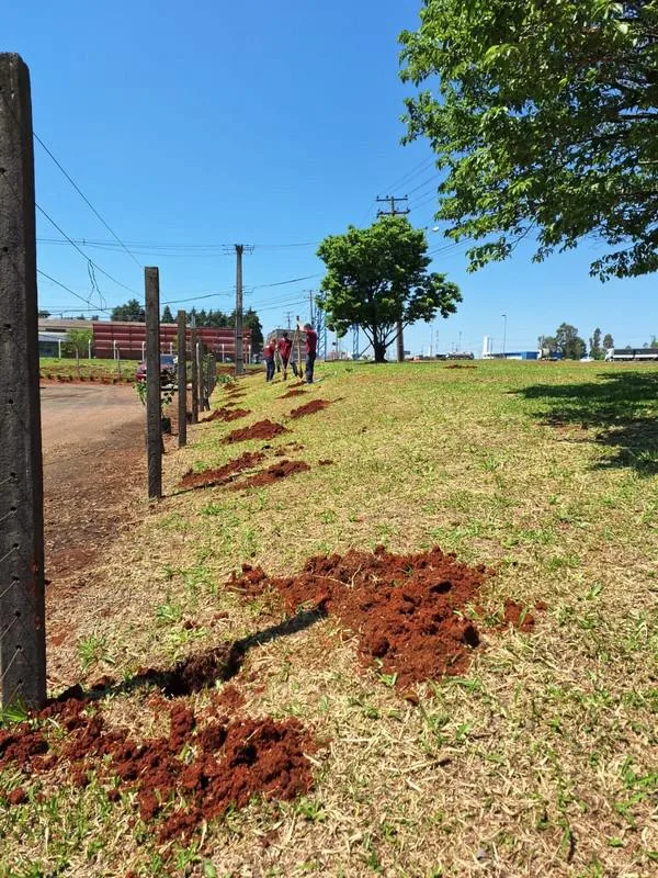dia-da-arvore-e-marcado-por-plantio-de-mudas-na-br7-06